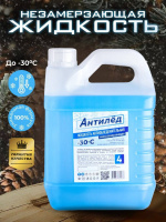 Жидкость антиобледенительная низкозамерзающая Антилед -30*С 4л канистра