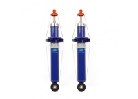 Амортизаторы 2190 задней подвески газонаполненные ДЕМФИ (СЕРИЯ КОМФОРТ) (2шт)