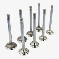 Клапаны головки блока 2101/21213 R-NUR