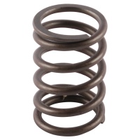 Пружина клапана 2108/2110 8кл наружная (большая)