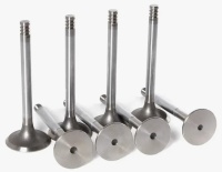 Клапаны головки блока 21083 8кл. R-NUR